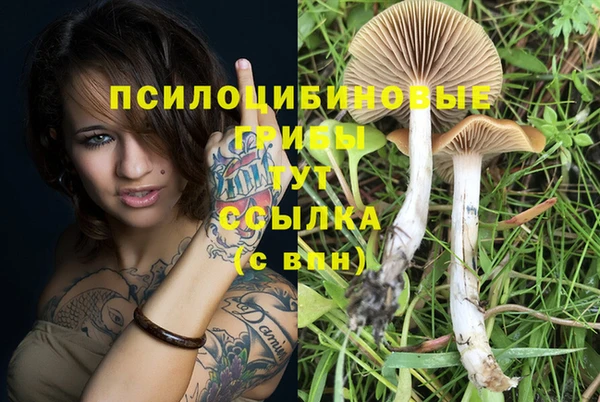 метамфетамин Аркадак