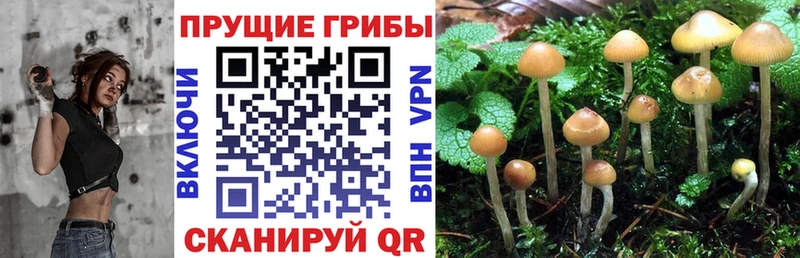 Псилоцибиновые грибы мухоморы  Бокситогорск 